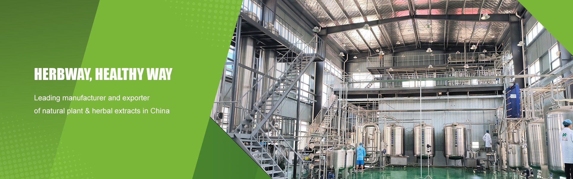 качество Порошок экстракта растений завод