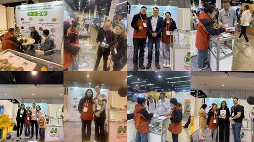 Latest company news about Компания Changsha Herbway Biotech Co., Ltd сияет на выставке природных продуктов West 2025!