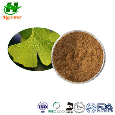 quality Экстракт гинкго билибо / экстракт гинкго в порошке CAS 90045-36-6 factory